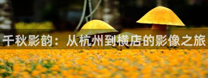 第九影院久久123：千秋影韵：从杭州到横店的影像之旅