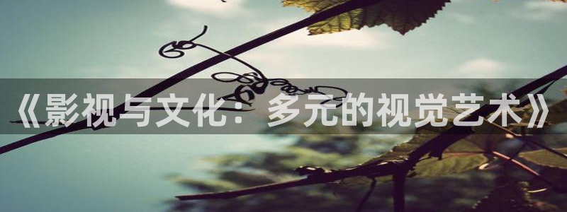 第九区国语高清免费播放：《影视与文化：多元的视觉艺术》