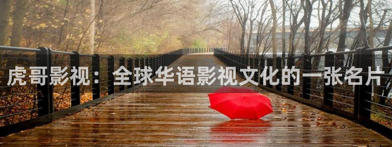 第九影院电影在线观看高清完整：虎哥影视：全球华语影视文化的一张名片