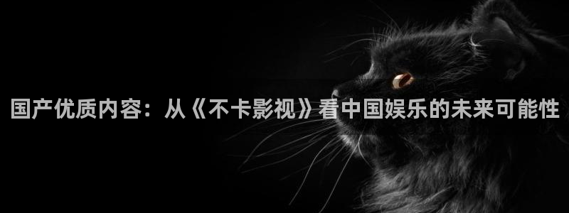 第九电影网免费看完整版：国产优质内容：从《不卡影视》看中国娱乐的未来可能性
