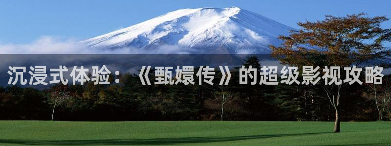第九神马老子达达兔影院：沉浸式体验：《甄嬛传》的超级影视攻略