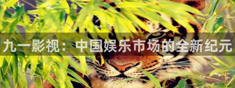 神马第九影院伦理片：九一影视：中国娱乐市场的全新纪元