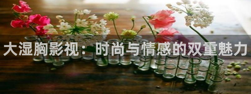 第九影影院：大湿胸影视：时尚与情感的双重魅力